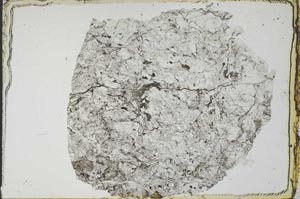 Plane Polarized, S20744