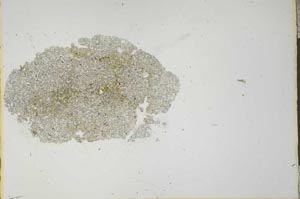 Plane Polarized, S20752