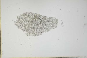 Plane Polarized, S20760
