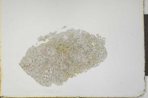 Plane Polarized, S20779