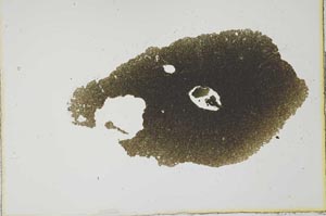 Plane Polarized, S20791
