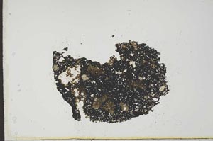 Plane Polarized, S20794