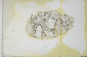 Plane Polarized, S20819