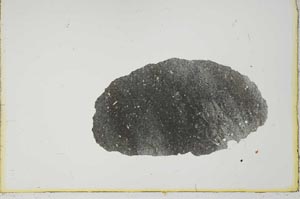 Plane Polarized, S20864