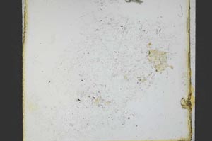 Plane Polarized, S20906