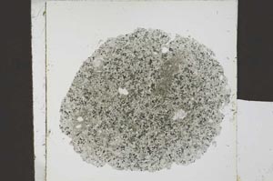 Plane Polarized, S20916