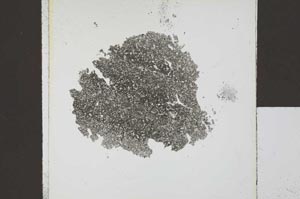 Plane Polarized, S20918
