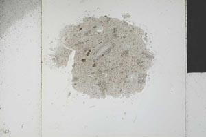 Plane Polarized, S20929