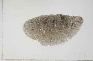 Plane Polarized, S20967