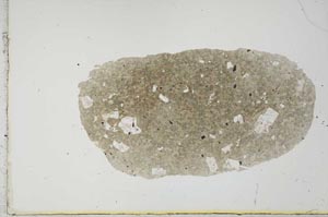 Plane Polarized, S20977