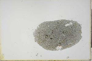 Plane Polarized, S20979