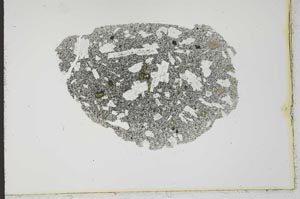 Plane Polarized, S20985