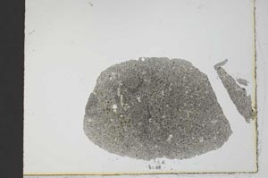 Plane Polarized, S20986