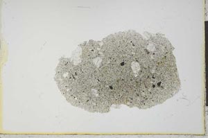 Plane Polarized, S20987