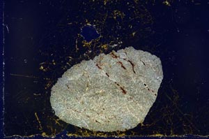 Cross Polarized, S20989