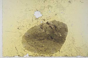 Plane Polarized, S20989