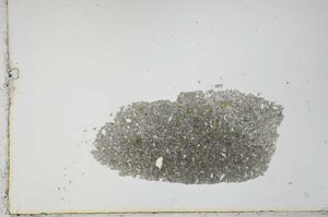 Plane Polarized, S20995