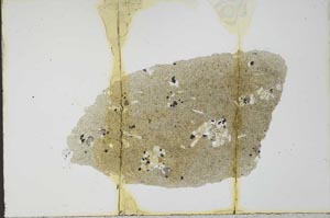 Plane Polarized, S21014