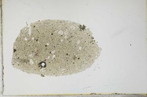 Plane Polarized, S21023