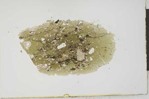 Plane Polarized, S21031