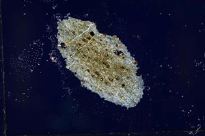 Cross Polarized, S21040