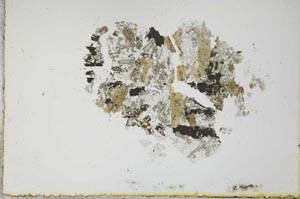 Plane Polarized, S21062