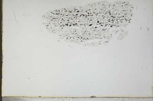 Plane Polarized, S21085