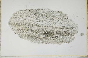 Plane Polarized, S21092