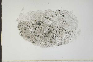 Plane Polarized, S21110