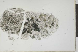 Plane Polarized, S21113
