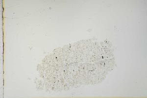 Plane Polarized, S21134