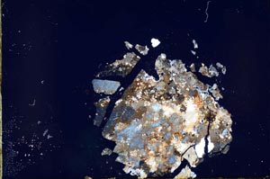 Cross Polarized, S21147