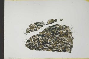 Plane Polarized, S21148