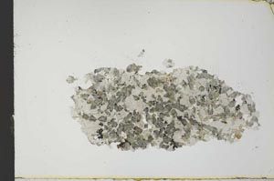 Plane Polarized, S21154