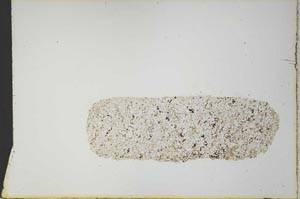 Plane Polarized, S21156