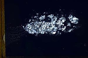 Cross Polarized, S21166