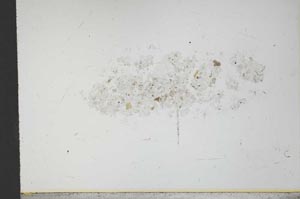 Plane Polarized, S21166