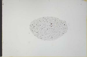 Plane Polarized, S21170