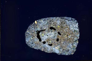 Cross Polarized, S21173