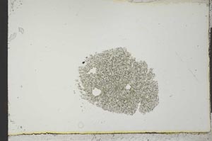 Plane Polarized, S21220