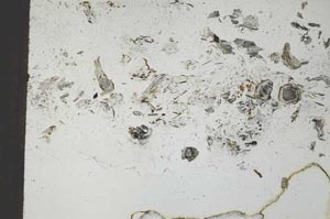 Plane Polarized, S21228