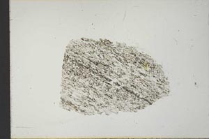 Plane Polarized, S21229