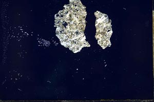 Cross Polarized, S21232
