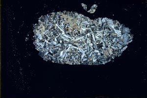 Cross Polarized, S21262