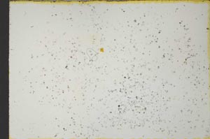Plane Polarized, S21276