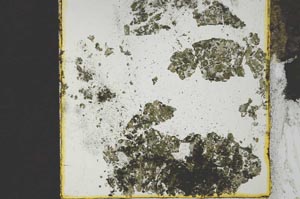 Plane Polarized, S21345