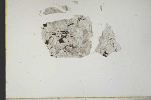 Plane Polarized, S21348/A