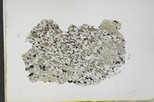 Plane Polarized, S21378