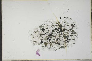 Plane Polarized, S21379