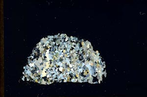 Cross Polarized, S21396